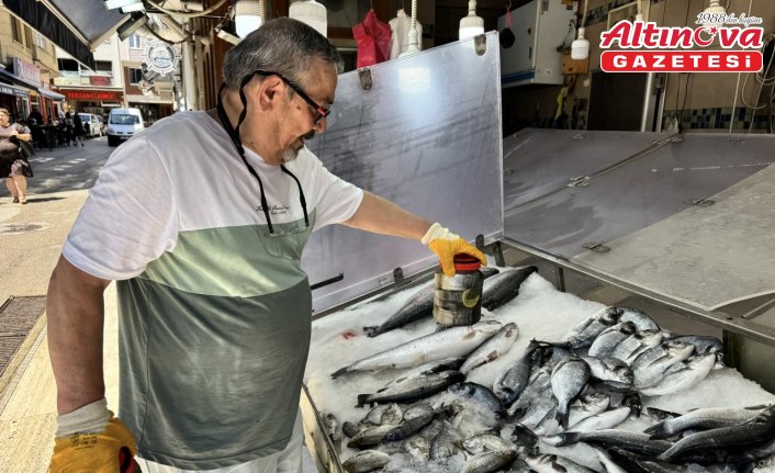 Av sezonunda tuzlanan palamutlar yazın tezgahları süslüyor