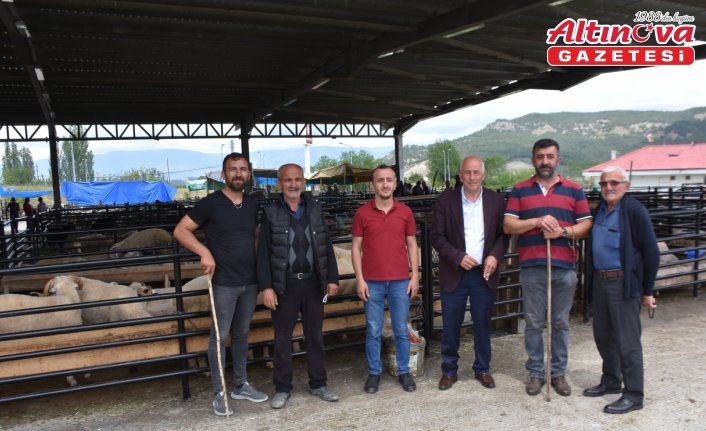 Boyabat ilçesinde canlı hayvan pazarı açıldı