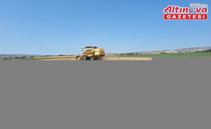 Çorum'da arpa hasadına başlandı