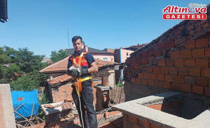 Çorum’da havalandırma boşluğuna düşen kedi yavrusu kurtarıldı