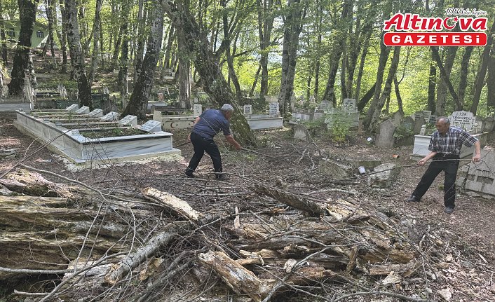 Dal bile almanın uğursuzluk sayılması ormanın korunmasını sağladı