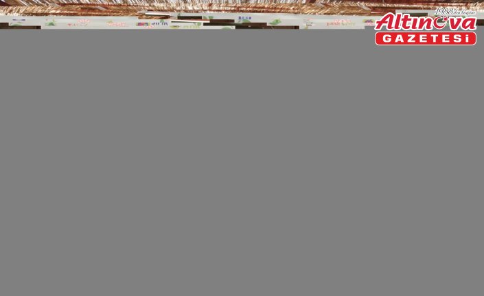 Espiye'de çevre etkinliği düzenlendi