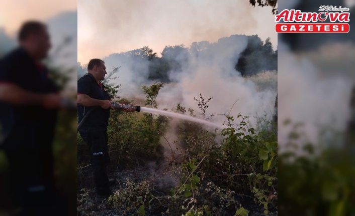 Gerze'de çıkan örtü yangını söndürüldü