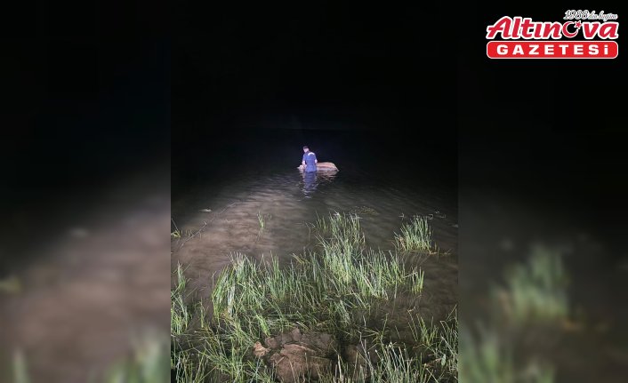 Göynük'te sulama göletine düşen buzağı öldü