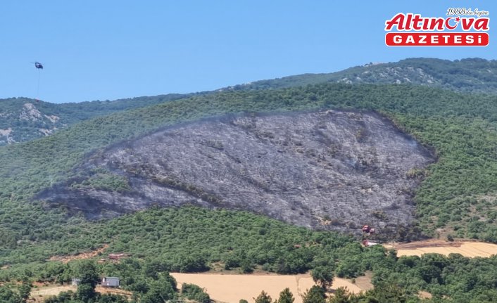 Bursa'da çıkan orman yangını kontrol altına alındı