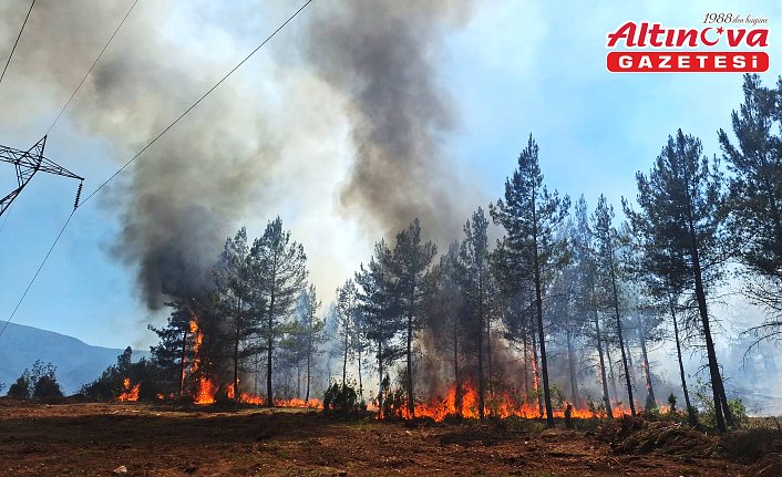 Karabük'te çıkan orman yangınına müdahale ediliyor