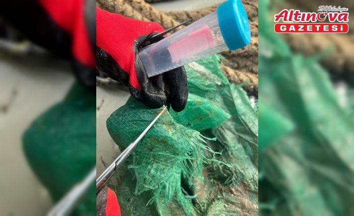 Karadeniz'de plastikler üzerinde yaşayan 55 tür mikroorganizma tespit edildi