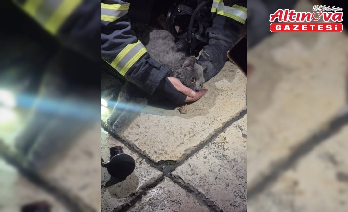 Kastamonu'da itfaiye ekipleri yangından kurtardıkları kediye kendi maskelerinden oksijen verdi