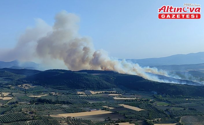 Manisa'da çıkan orman yangını kontrol altına alındı