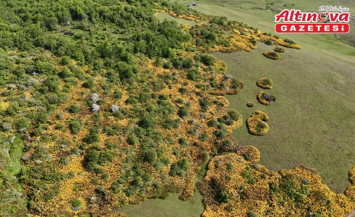 Menderesleriyle ünlü Perşembe Yaylası bayram tatilinde yerli turistlerin akınına uğradı
