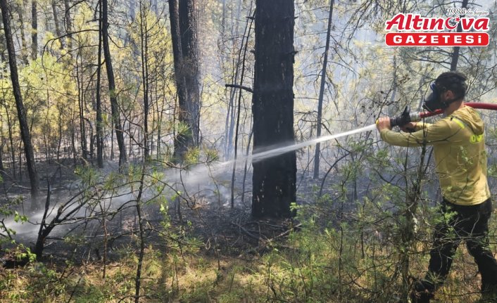 Mengen'de çıkan örtü yangını söndürüldü