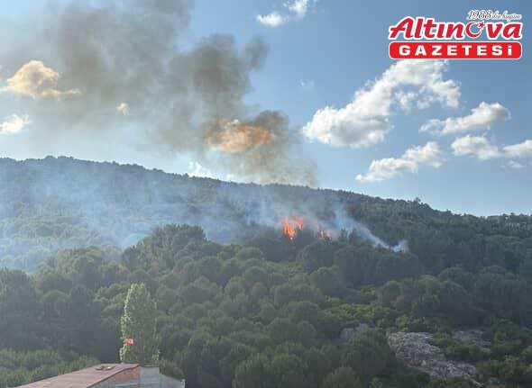Pendik'te ormanlık alanda çıkan yangın söndürüldü