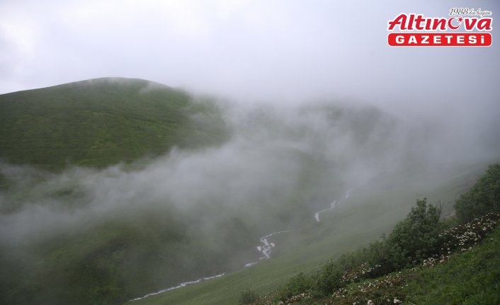 Rize'de “20. Dağ Horozu Şenliği“ düzenlendi