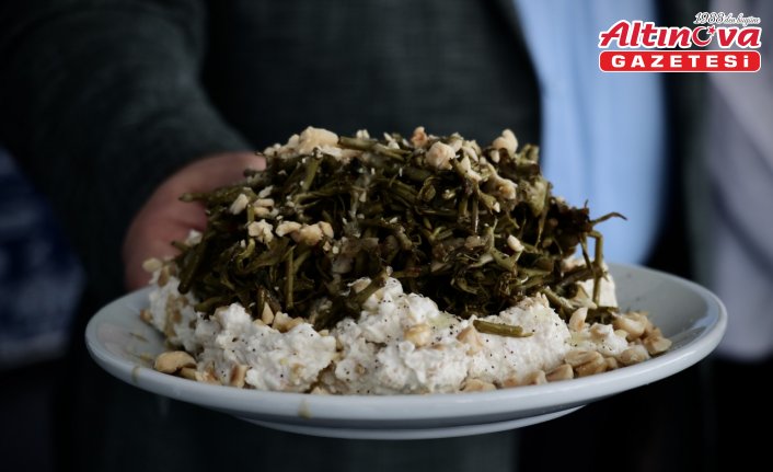 Samsun'da “8. Yöresel Ot Yemekleri Festivali“ çeşitli etkinliklerle sürüyor