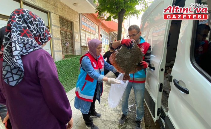 Sinop'ta kaçak avlanan 363 kalkan balığı vatandaşlara dağıtıldı