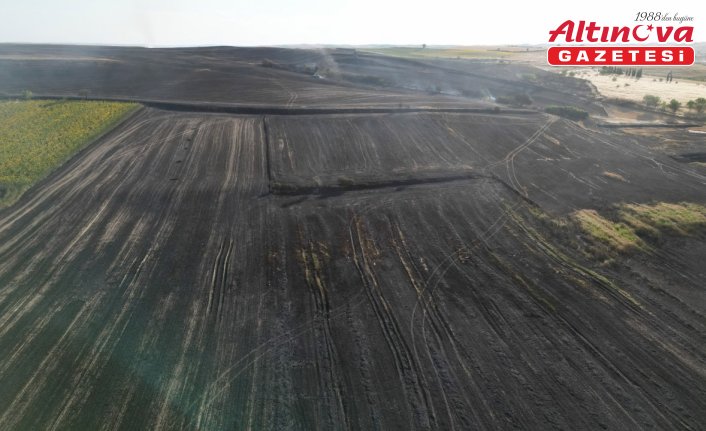 Tekirdağ'da çıkan yangında 1500 dekar tarım arazisi zarar gördü
