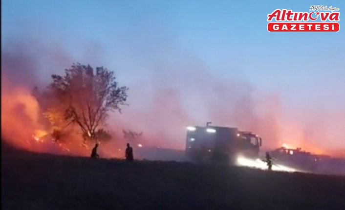 Tekirdağ'da havai fişekten çıktığı iddia edilen yangında 15 dekar buğday ekili alan yandı