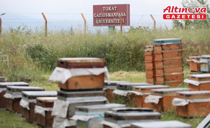 TOGÜ'de “Çocuklarımın Eğitimine Ürettiğim Balımla Destek Olacağım“ projesi