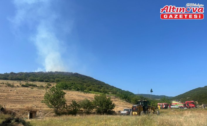 Tokat'ta ormanlık alanda çıkan yangına müdahale ediliyor