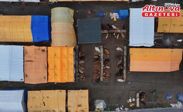 Trabzon'da kurban satışlarından alıcı ve satıcılar memnun
