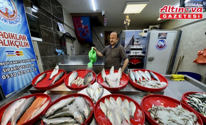 Trabzon'da istavrit ve mezgit balıkçı tezgahlarını süslüyor