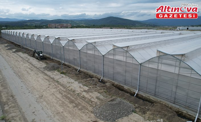 Zonguldak'taki sera organize tarım bölgesi ülke ekonomisine yıllık 750 milyon lira katkı verecek