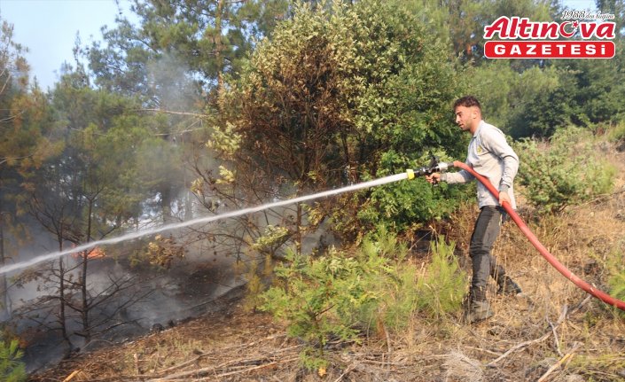 Amasya’da çıkan orman yangını söndürüldü