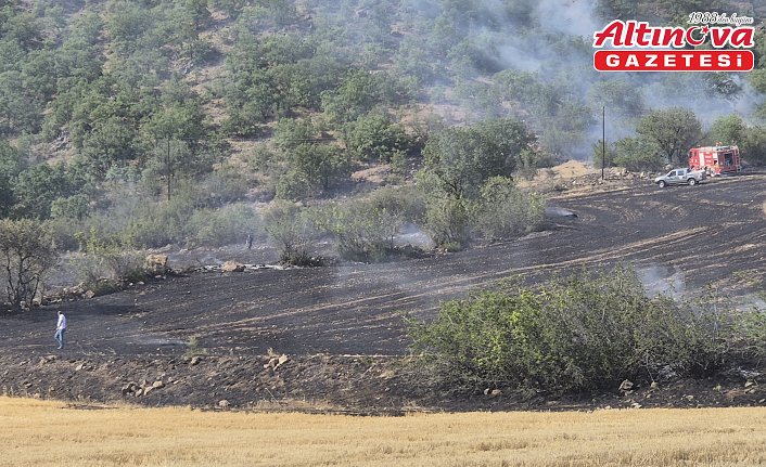 Bayat'ta ormana sıçrayan yangın söndürüldü