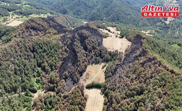 Bolu Göynük'teki orman yangınında 35 hektarlık alan zarar gördü