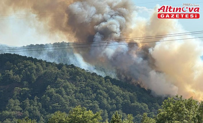 Bolu'nun Göynük ilçesinde çıkan orman yangınına müdahale ediliyor