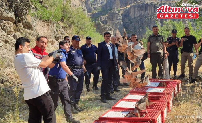 Bolu'da 600 kınalı keklik doğaya bırakıldı