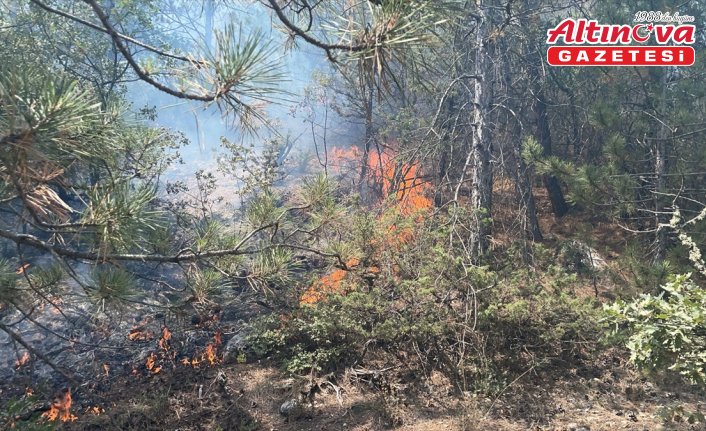 Bolu'da çıkan orman yangını kontrol altına alındı