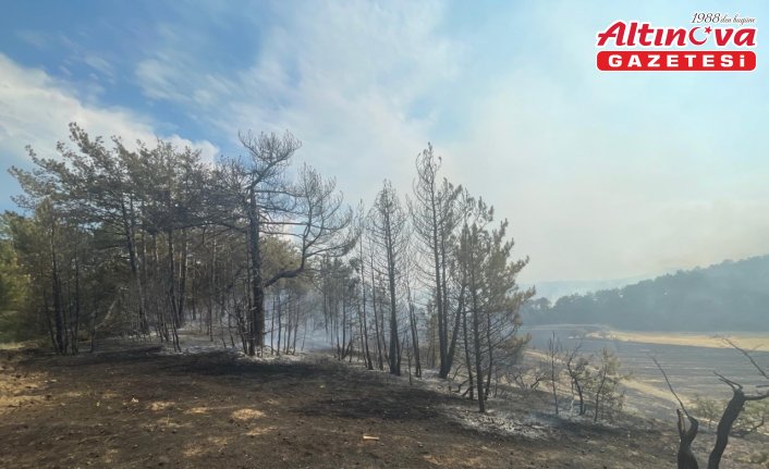 Bolu'da ormanlık alanda çıkan yangın kontrol altına alındı