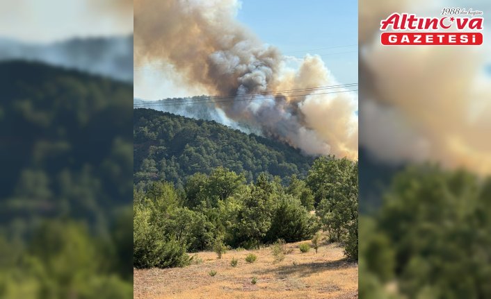 Bolu'nun Göynük ilçesinde çıkan orman yangınına müdahale ediliyor