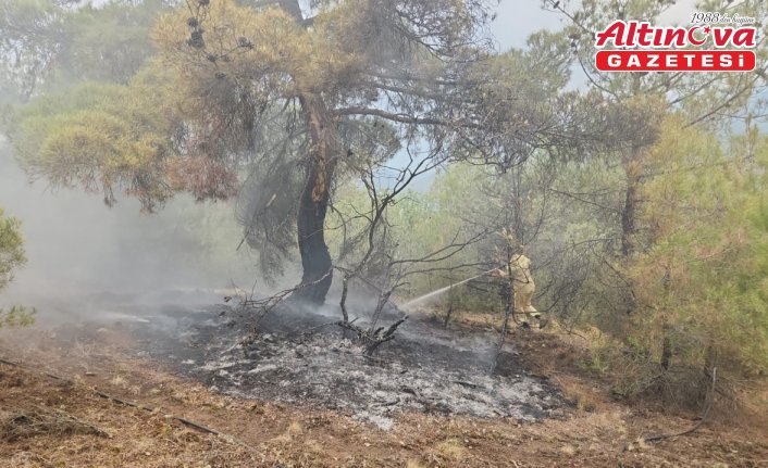 Çorum'da yıldırım düşmesi nedeniyle ormanlık alanda çıkan iki yangın söndürüldü