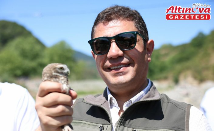 Düzce'de 5 baykuş ve 20 bin alabalık doğaya bırakıldı