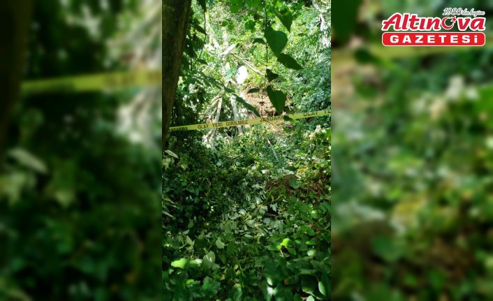 Düzce’de kestiği ağacın altında kalan kişi öldü