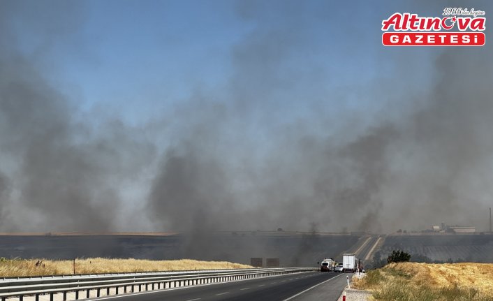 Edirne'de geniş alanda etkili olan anız yangınına müdahale ediliyor