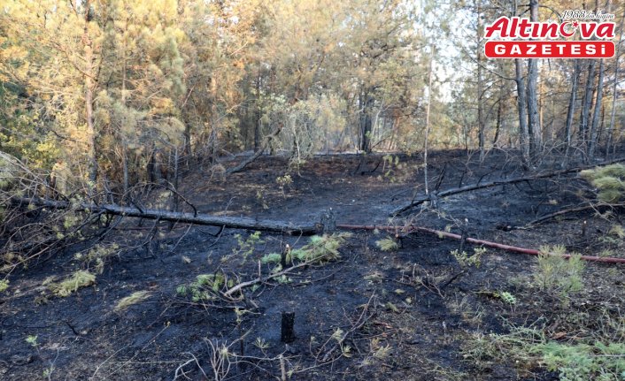 Karabük'te ormanlık alanda çıkan yangın kontrol altına alındı