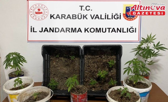 Karabük'te uyuşturucu operasyonunda 1 şüpheli yakalandı