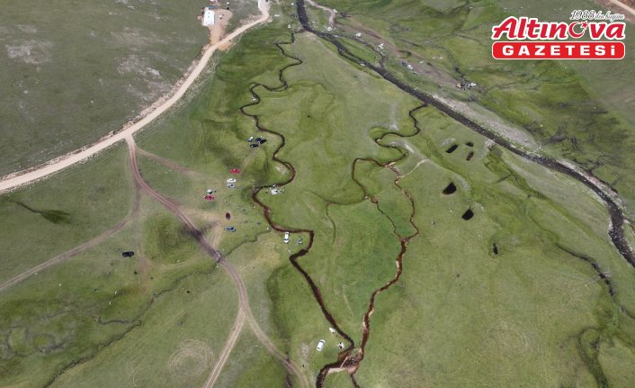 Karadeniz'in zirvesindeki yaylalar ziyaretçilerini ağırlıyor