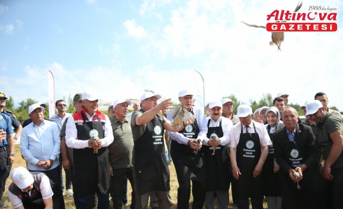 Kastamonu'da 2 bin 100 kınalı keklik doğaya bırakıldı