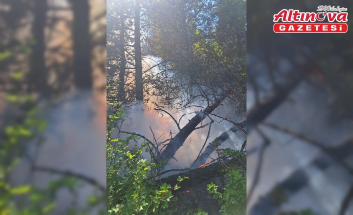 Kastamonu'da çıkan orman yangınında 2 dekar alan zarar gördü