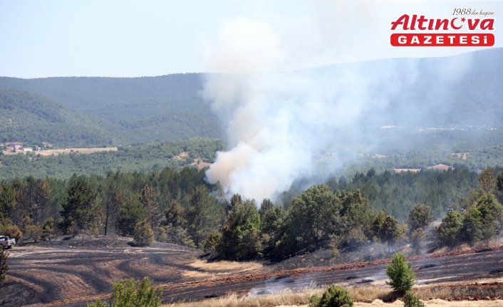 Kastamonu'da tarım arazisinde başlayan yangın ormana sıçradı