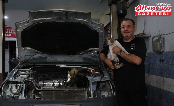 Motor ustasının “Psikopat“ kedisi sanayinin maskotu oldu