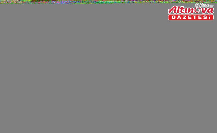 Ordu'da park halindeyken freni boşalan tır duvara çarptı