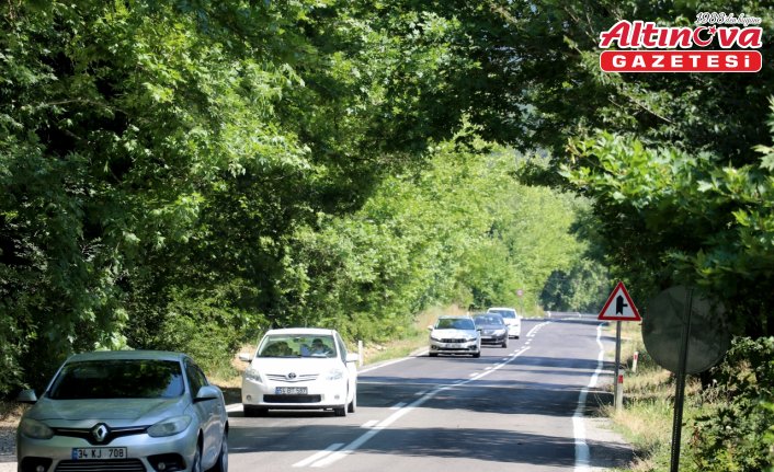 Safranbolu'nun ağaç tünelli yolları görenleri büyülüyor