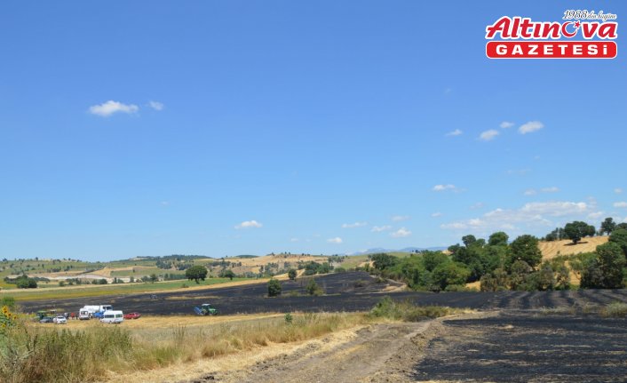 Samsun'da çıkan yangında 100 dekar tarım arazisi zarar gördü
