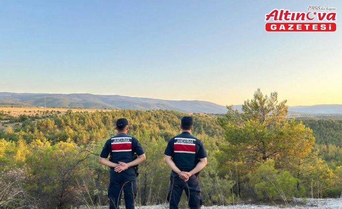 Saraydüzü'nde jandarmadan orman denetimi