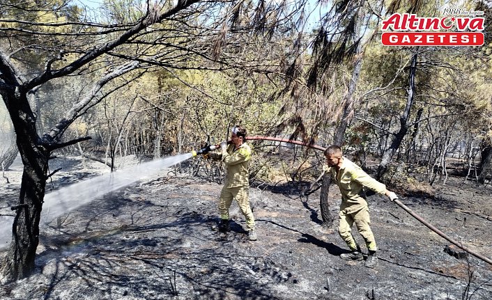 Sinop'ta orman yangınında 8 dönüm alan zarar gördü